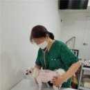 세종충북대학교 동물병원 이미지