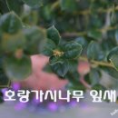 변산반도 사계절펜션 이미지