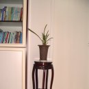 올리브민박 이미지