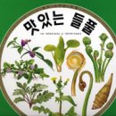 들풀출판사