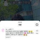 스타쉽 연습생으로 들어갔다는 초등학생 인플루언서...gif 이미지