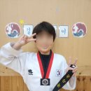 The 건강한 태권도장 이미지