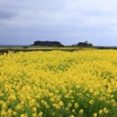 제주한우리 이미지