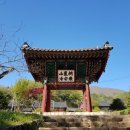 연화 | 138. 전남 곡성 동리산 태안사