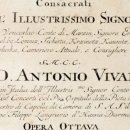 나의 사계 이미지