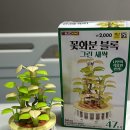 IRIS PC 첨단월계점 | 4월