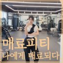 매료피티 이미지