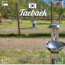 이마트24태백황지점 | 태백시 반려견 놀이터 황지연못 애견동반 태백여행