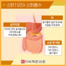 더비채 이미지