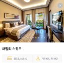 캠퍼트리 스토어 | ✈️Go to JEJU_Stay in CAMPHORTREE(캠퍼트리호텔앤리조트)_패밀리스위트