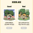 기현농장 이미지