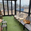 카페디썸 - 안산시 단원구 대부중앙로 201 | 카페디썸