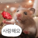 햄찌네 이미지