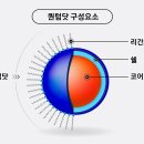 리얼닷 이미지