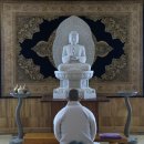 소유;숲