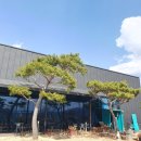 십칠다시이십 | [완주 봉동 카페] 십칠다시이십 방문 후기