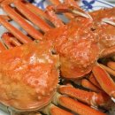 설이 수산