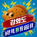 서부면 하리마을회관 | 서해 강화도 석모도 교동도 도보 워킹 광어 루어 원투 서프 낚시 잘잡히는 포인트 추천