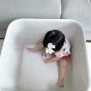 회원펫 | 네이버펫 고양이 화장실 추천 두잇 푸푸박스 대형 화장실 후기