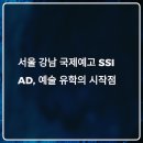 서울 강남 예체능 국제학교 SSI 아트앤디자인 후기｜학비·입시·포트폴리오 준비까지 총정리