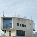 에오마르 제주 삼양해수욕장 카페 <b>에오마르</b> 한라봉감귤비앙코