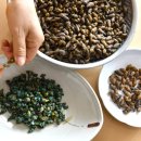 황간올갱이전문점 이미지