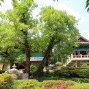 광덕산 등산로 이미지