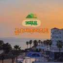 금호농장 | 제주 아이랑 숙소 금호리조트 제주 스위트 양실 오션뷰와 조식