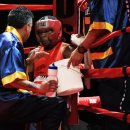 MS복싱아카데미 이미지