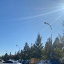 해솔프라자 앞 이미지