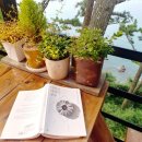 바다와 하루이틀 이미지