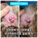 이을동물병원 이미지