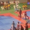 대도 세계로 태권도 이미지