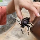 아산환경과학공원 놀이터 이미지