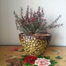 정골농장 이미지