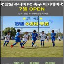 도계체육공원 축구장 이미지
