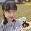 국숫골 | 태동을 느끼기 시작한 18~20주 기록 : 먹고 사고 여행하고 육아용품 장만하는 일상
