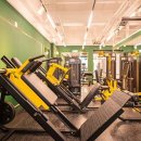 짐 핏 부산 이미지