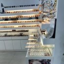 진안안경원 이미지