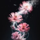 몽화