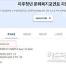 4시간 만에 동났던 제주문화패스 알고보니 공무원들이 선수쳤다. 이미지