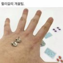 울릉, 빈틈 | [울릉도] 깔끔하고 친절한 울릉도 내돈내산 신상 숙소 - 울릉, 빈틈