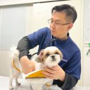 아는수의사 동물병원 이미지