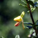 마당이수목원 이미지