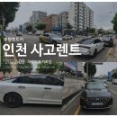 동수카 이미지