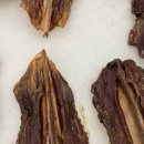 여시까까 이미지