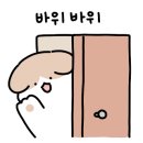 댄싱컵범일점 이미지