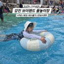 강진에 오면 | 강진 브이랜드 물놀이장 무료/평상/취사불가 후기