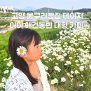고양 물구리빵집 데이지 애견동반 아기 갈만한 대형 카페