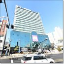 삼호초등학교병설유치원 이미지